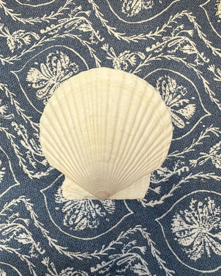 Hydrangea Shell