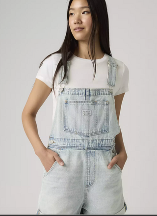 LEVI OVERALLS 