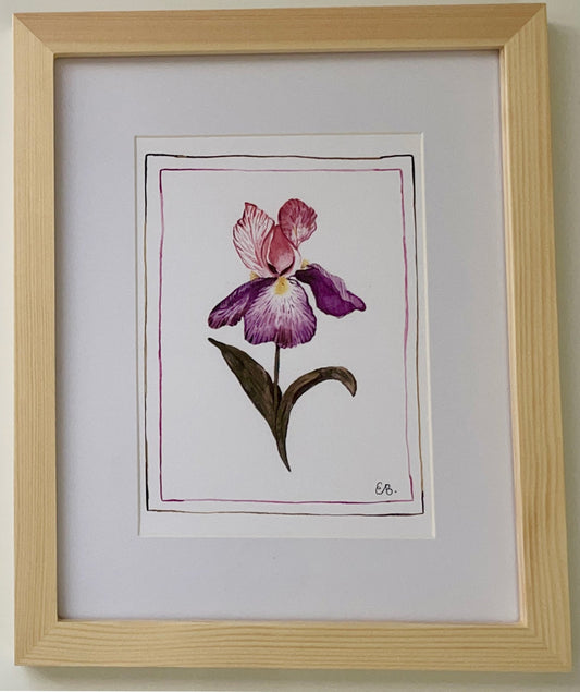 Iris flower watercolor art inspired by nature. 