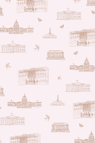 dc-pattern-washington-monuments-design