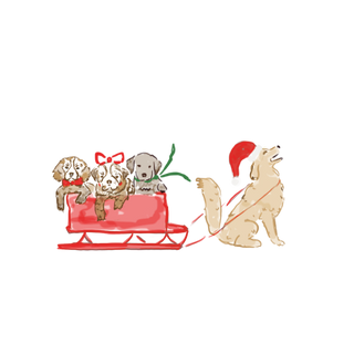dog-sled-nantucket_illustration-childrens-winter-ebloom