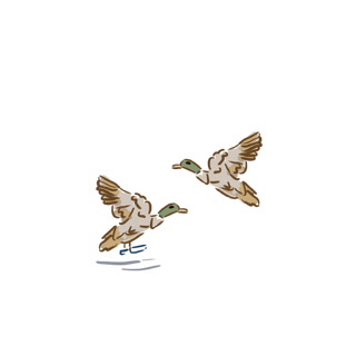 ducks-nantucket_illustration-childrens-winter-ebloom