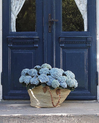 hydrangea-door-image