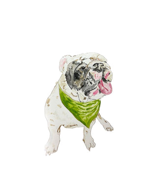 Dog wearing a green bandana and pink bow on a white background