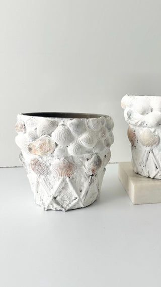 shell pots - summer gardening