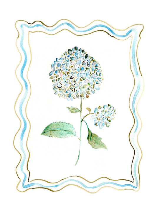 Bordered Botanical: Hydrangea Print - studio é bloom