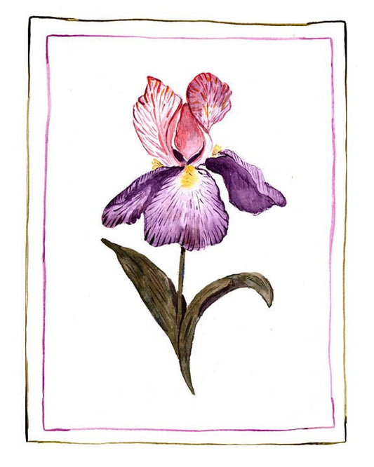 iris flower watercolor painting