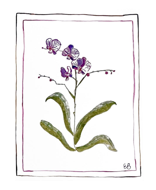 Bordered Botanical: Orchid Print - studio é bloom